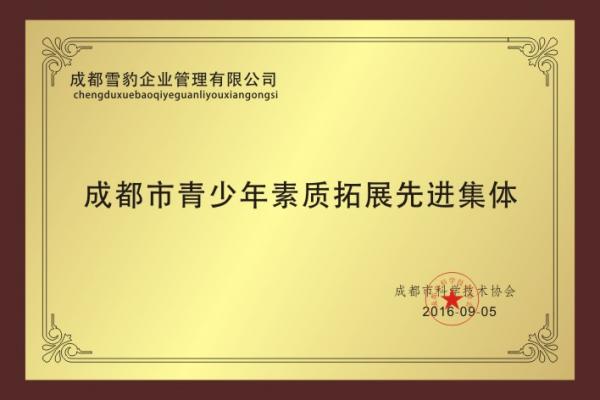 成都市青少年素质拓展先进集体